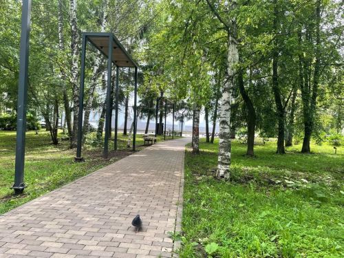 В понедельник в Бугульме будет тепло и облачно