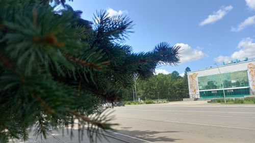 В Бугульме сегодня переменная облачность