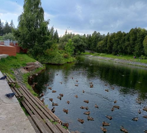 В Бугульме 15 сентября переменная облачность