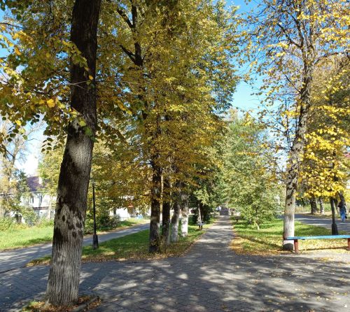 ‎В Бугульме 29 сентября переменная облачность