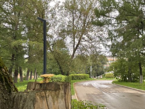 Погода в Бугульме в воскресенье, 7 сентября