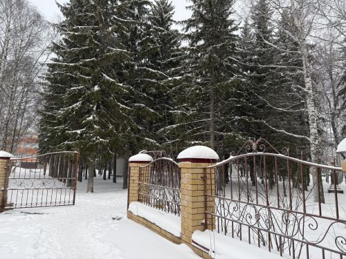 В Бугульме 11 января облачная погода