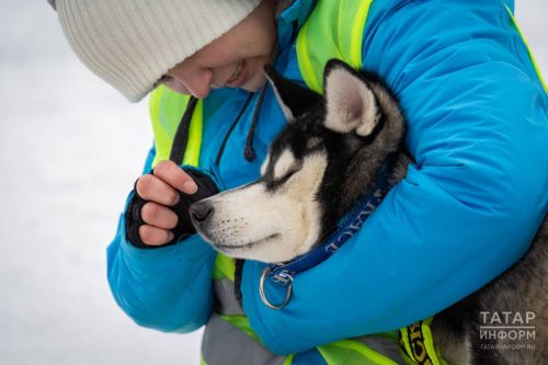 Алкоголь смертельно опасен для собак