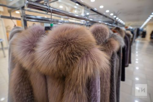 Как избавиться от моли: советы «БГ»