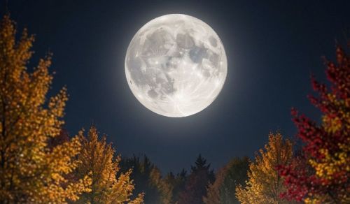 Близнецов ждет много общения, Ракам захочется спокойствия