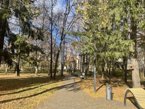 14 градусов тепла ожидается в Бугульме 22 октября