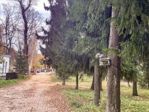 10 градусов тепла ожидается в Бугульме в воскресенье