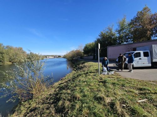 В центральный водоем Бугульмы выпустили 300 мальков белого амура