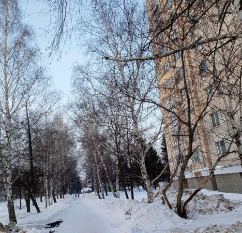 В Бугульме 14 марта облачно с прояснениями
