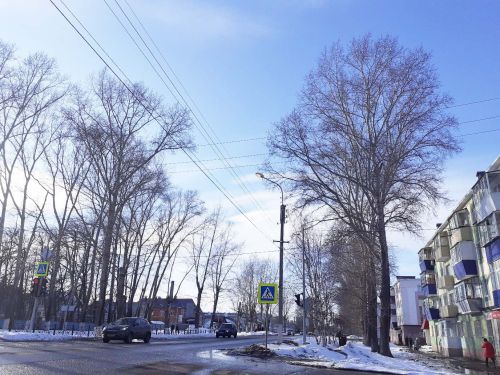 Ясная и теплая погода ожидается в Бугульме 27 марта
