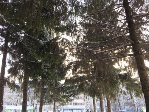 6 марта в Бугульме будет облачно с прояснениями
