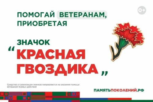 В Татарстане стартовала акция «Красная гвоздика»: каждый может помочь ветеранам