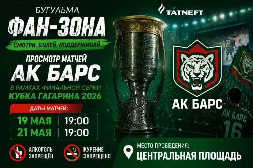 В Бугульме организуют фан-зону для поклонников «Ак Барса» на Центральной площади