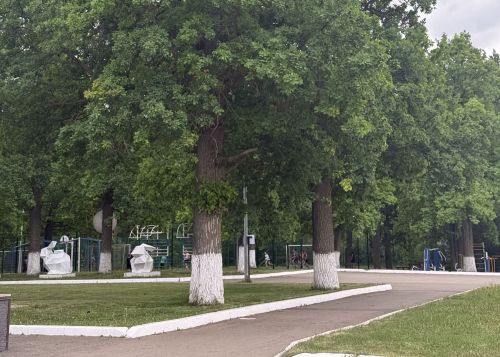 В Бугульме в воскресенье, 31 мая, дождь и облачно