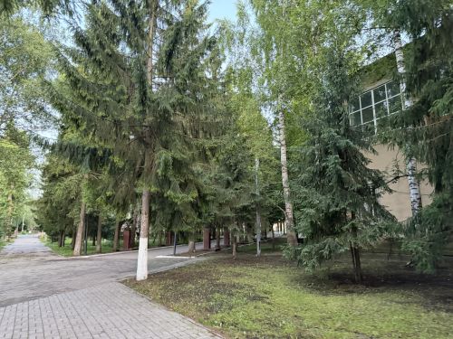 Дождь и туман ожидаются в Бугульме 1 июля