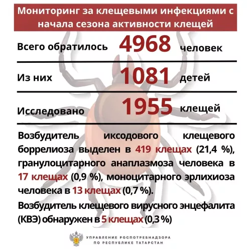В Бугульминском районе Татарстана зарегистрировано 215 случаев укусов клещей