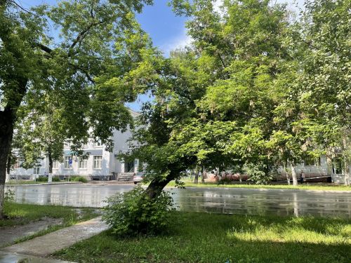 Погода в Бугульме в воскресенье, 12 июля