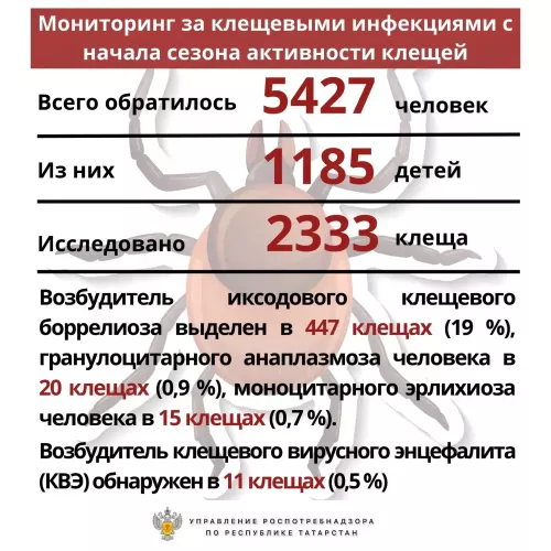 В Бугульминском районе Татарстана зарегистрировано 230 случаев укусов клещей