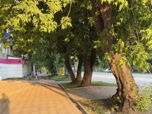 Переменную облачность прогнозируют синоптики в Бугульме 8 июля