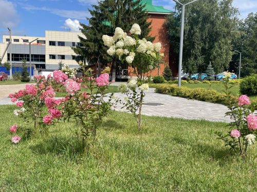 Погода в Бугульме 11 августа