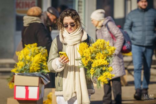 Татарстанцы могут повлиять на появление интернета в своем поселении