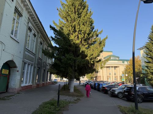 25 градусов тепла ожидается в Бугульме 25 сентября