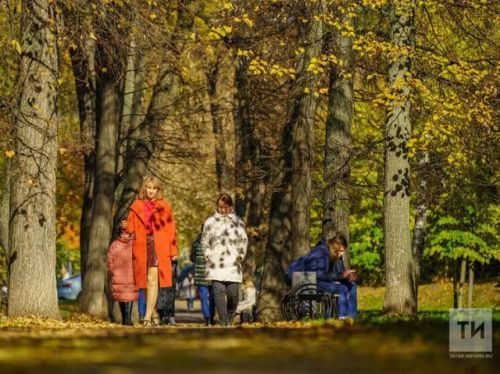 20 градусов тепла ожидается в Бугульме 30 сентября