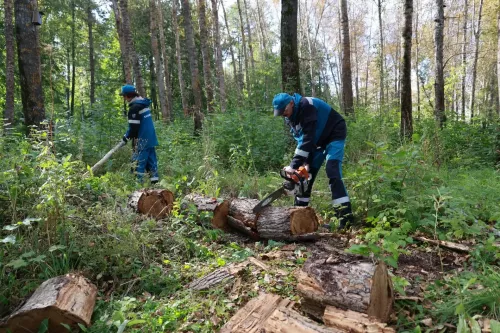 БМЗ хезмәткәрләре Морозов паркында экомарафонда катнаштылар