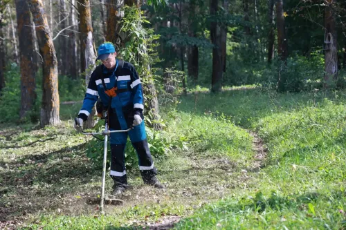 БМЗ хезмәткәрләре Морозов паркында экомарафонда катнаштылар