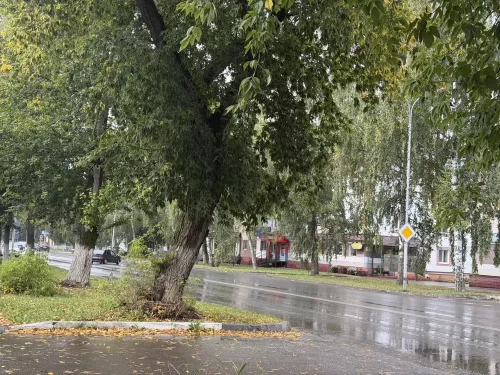 16 градусов тепла ожидается в Бугульме 9 сентября