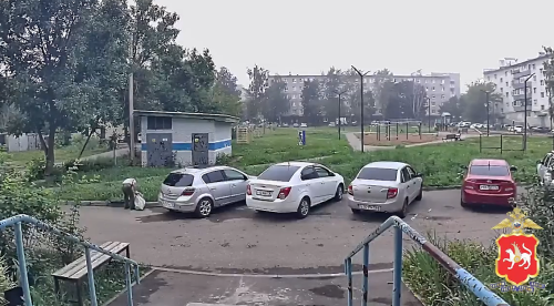 В Бугульме полицейские раскрыли кражу рыболовных снастей