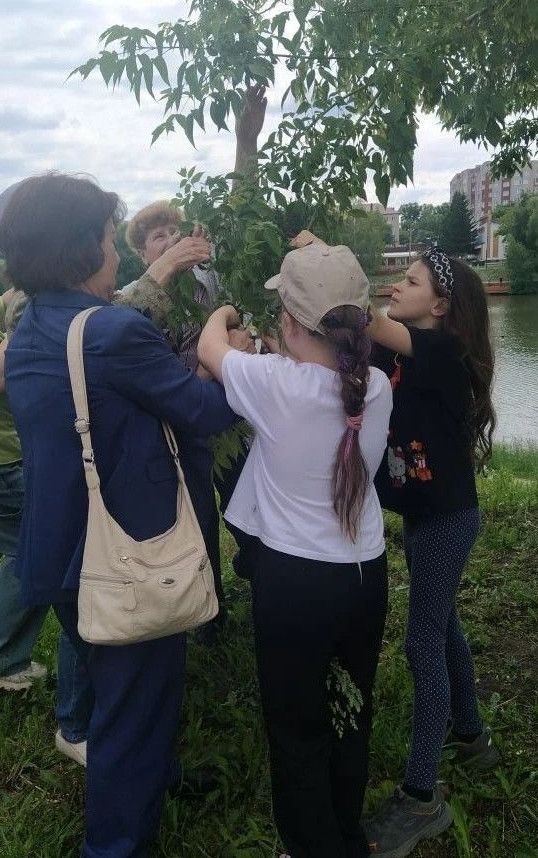 В Татарстане состоялся этно-праздник «Кукушкин чай»