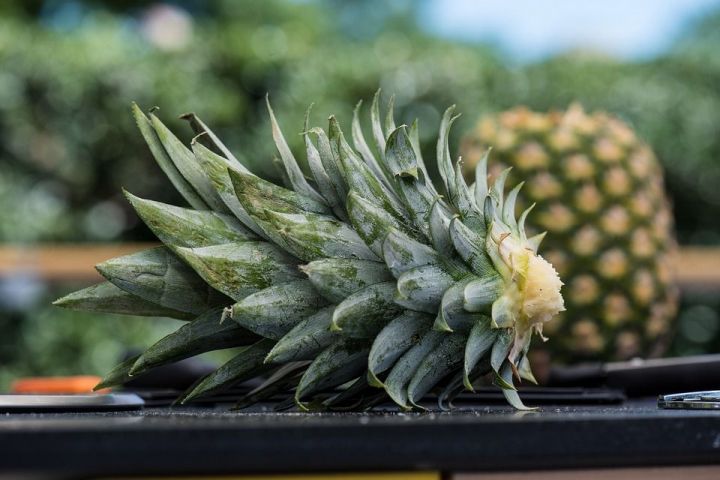 8 продуктов, которые разжижают кровь и способны предотвратить тромбоз