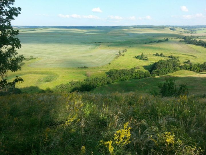 Без тарихта эзлебез...