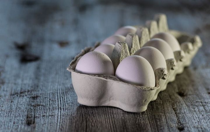 10 способов применения лотка от яиц на заметку