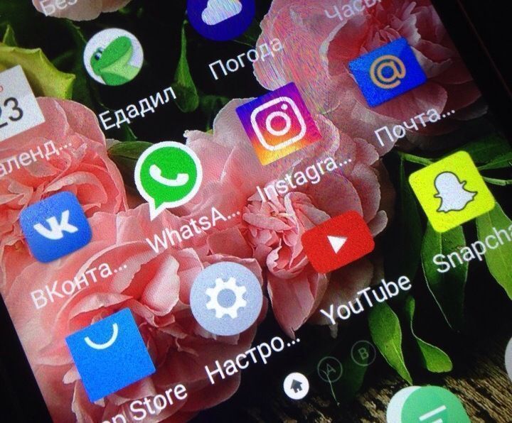 WhatsApp вводит платные сообщения