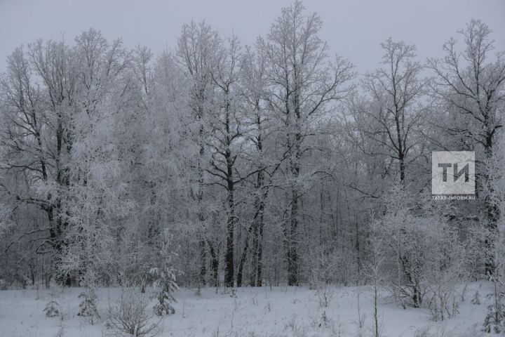В Татарстане три дня будет сохраняться умеренно морозная погода