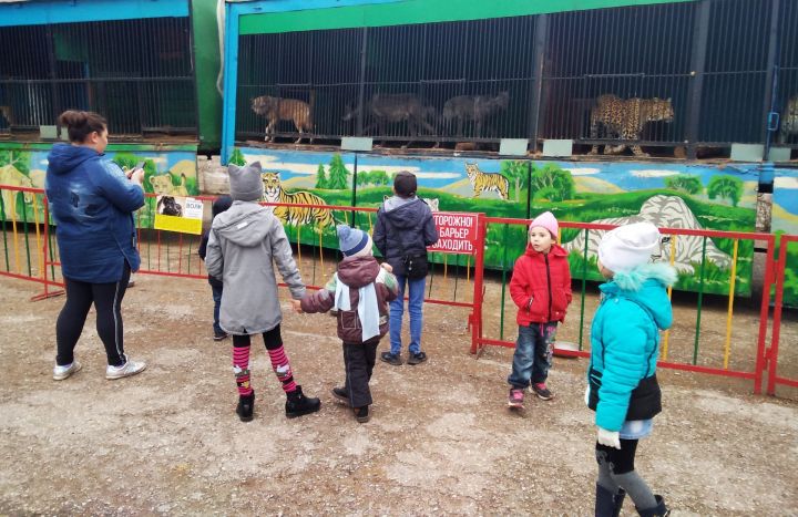 Подопечные бугульминского центра «Радуга» бесплатно посетили зоопарк и покормили диких животных