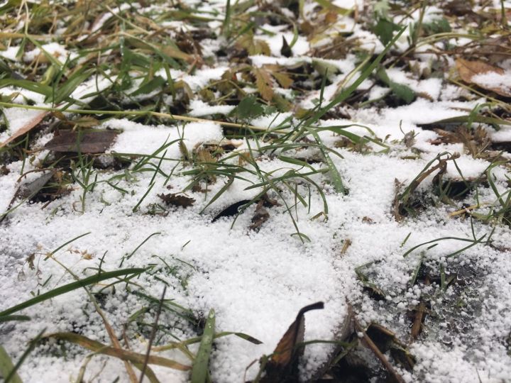Похолодание и небольшой снег ожидаются в Татарстане