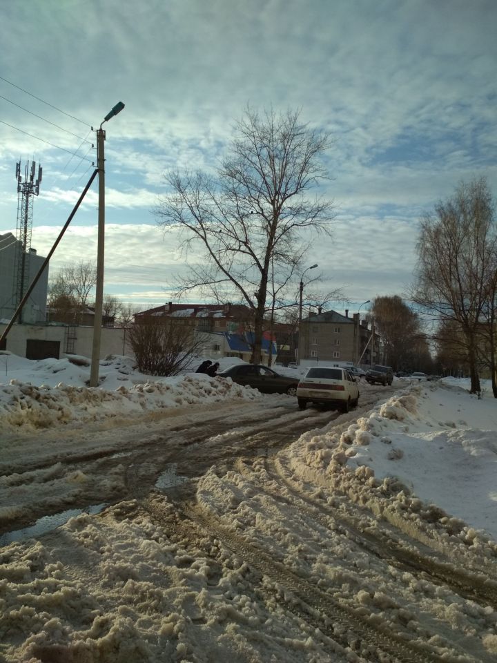 Бөгелмәлеләр кар белән көрәшә
