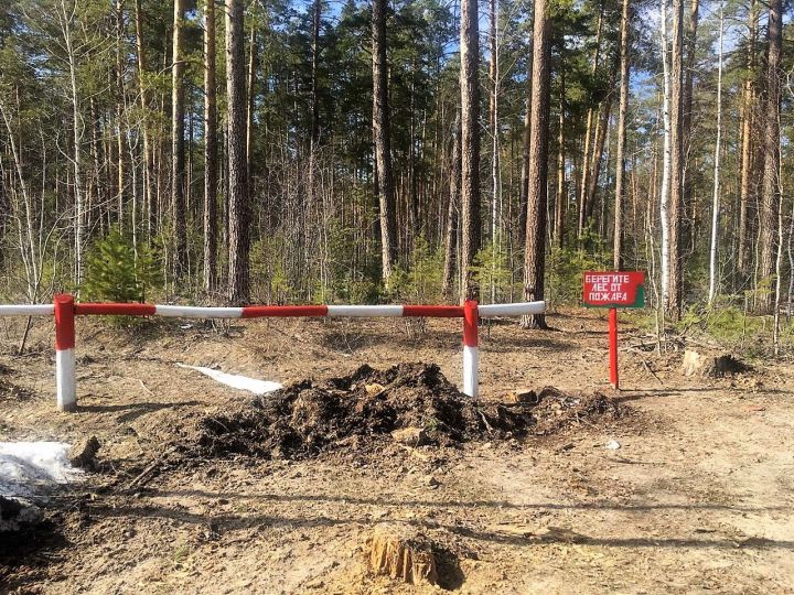 Специалисты «Бугульминского лесничества» обнаружили несанкционированную свалку в лесу