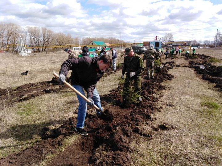 В Бугульминском районе пройдет «День посадки леса»