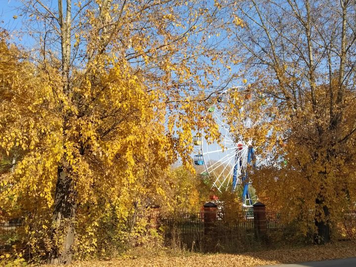 Сегодня в Бугульме ясно и без осадков
