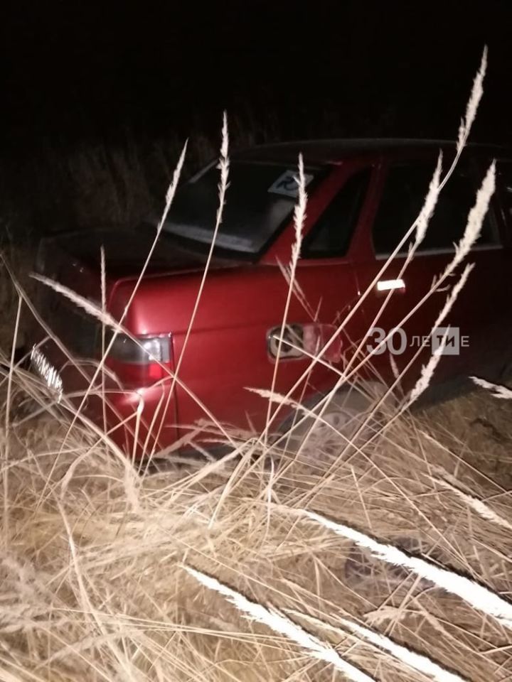 В Татарстане автомобиль вылетел в кювет