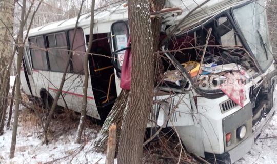 В Татарстане автобус с пассажирами влетел в дерево