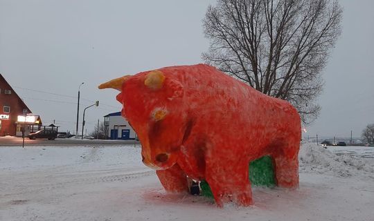 В Татарстане появился пятиметровый бык