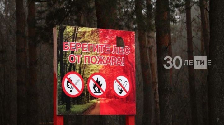 Две лесопожарные станции появятся в Татарстане
