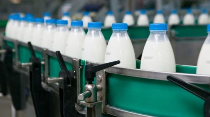 Татарстан Республикасы сөт сату буенча максималь күләмгә җитте