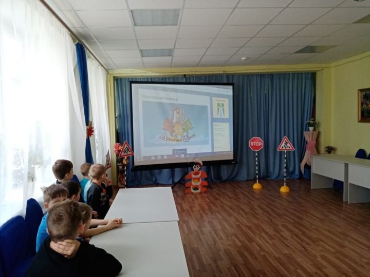 Бөгелмә приютында юл хәрәкәте кагыйдәләре буенча агитбригада оештырылды.