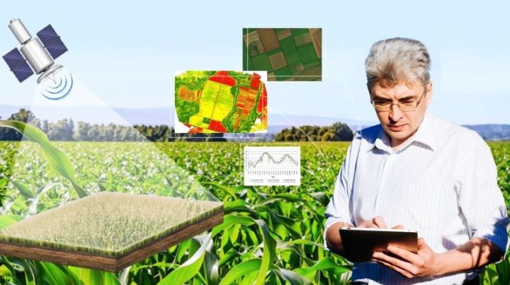 Космоснимки помогут татарстанским аграриям определить готовность полей к уборке урожая